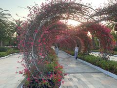 -三亚海昌梦幻海洋不夜城