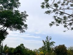 -云里小坐·海泉湾·团建·宴席·下午茶(金堂海泉湾店)