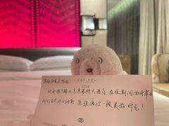 -北京索菲特大酒店