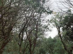 -法云安缦酒店