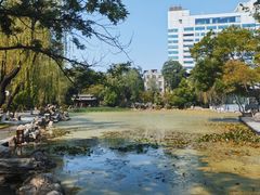 -莲湖公园
