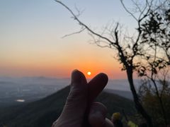 -紫金山山顶公园