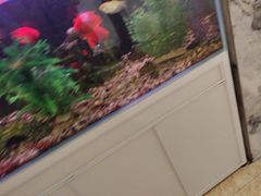-汉丽轩韩式自助烤肉十二年(SM广场店)