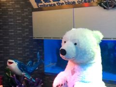 -成都浩海立方海洋公园