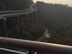 -金鸡山公园