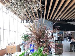 -Seesaw Coffee(朝阳大悦城店)