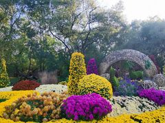 -上海共青森林公园