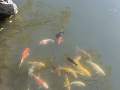 -杭州西湖柳莺里酒店