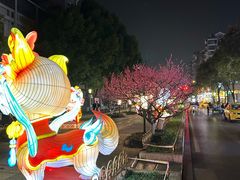 -好一朵茉莉花(老门东店)