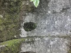 -山王坪喀斯特国家生态公园