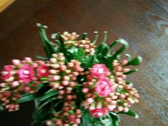 -黔蘑菇四季餐厅(观山湖店)