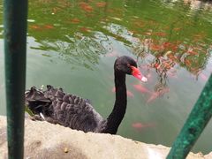 -昆明动物园