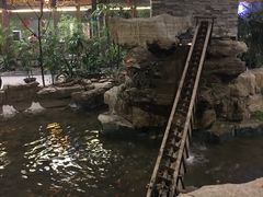 -森谷美食公园(杨行店)