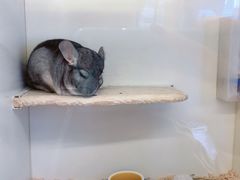 -龙猫仔乐园(惠福东路店)