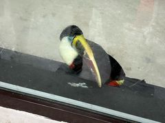 -长春农业博览园