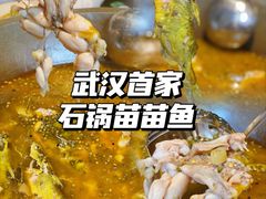 -石锅苗苗鱼(武汉首店)