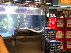 -本炙炭烤·蒲烧活鳗料理店(金沙洲店)