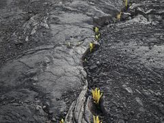 -夏威夷火山国家公园