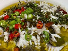 藤椒鱼-三猫黑鱼花(南大店)