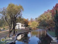 -上海共青森林公园