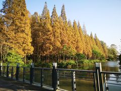 -上海怡沁园度假酒店
