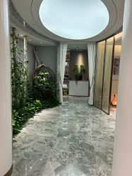 -艾维庭美学SPA