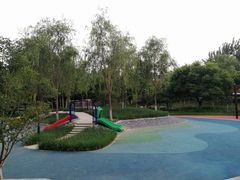 -东升文体公园