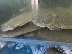 -老班长大酒店(海关大楼店)