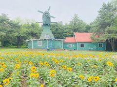 -沈阳植物园