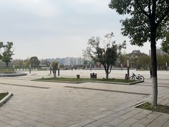 -洋湖国家湿地公园
