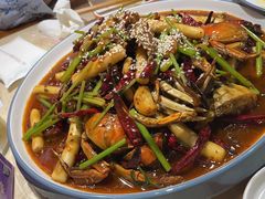 -杨氏青龙虾·羊蝎子(珠江路店)