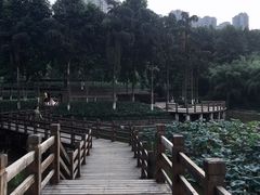 -龙头寺公园