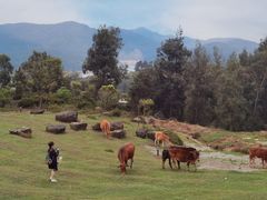 -大姆山草场