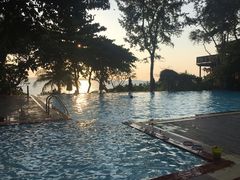 -卷心菜和避孕套餐厅(Pattaya)