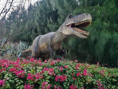 -厦门湾·白塘湾火山公园