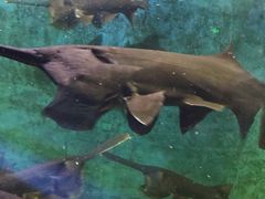 -石林冰雪海洋世界