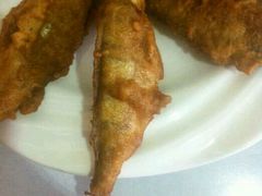 -煲来饱去冷水鱼