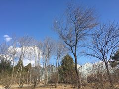 -北京鹫峰国家森林公园