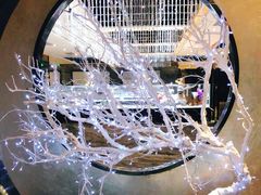 -红辣椒·川菜·火锅(张杨路店)