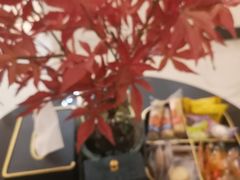 -和里合·颜愈SPA·Relax瑶浴·Massage(石厦店)