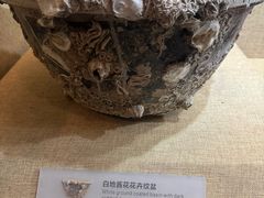 -烟台市博物馆