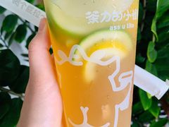 -茶力的小怪兽(梅林卓悦汇店)