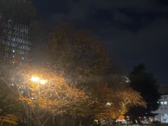 -北海道厅旧本厅舍(旧本庁舎)