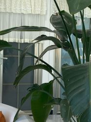 -Dr.Jane皮肤管理中心