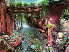 -正佳雨林生态植物园