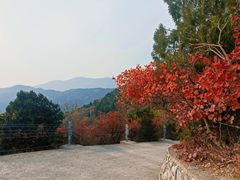 -北京西山国家森林公园