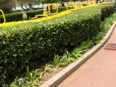 -莲花池公园