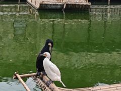 -观潮胜地公园
