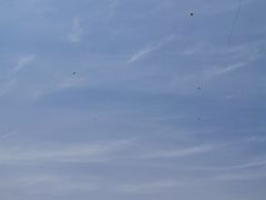 -钟山体育运动公园