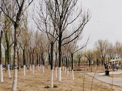 -天津东丽湖风景区